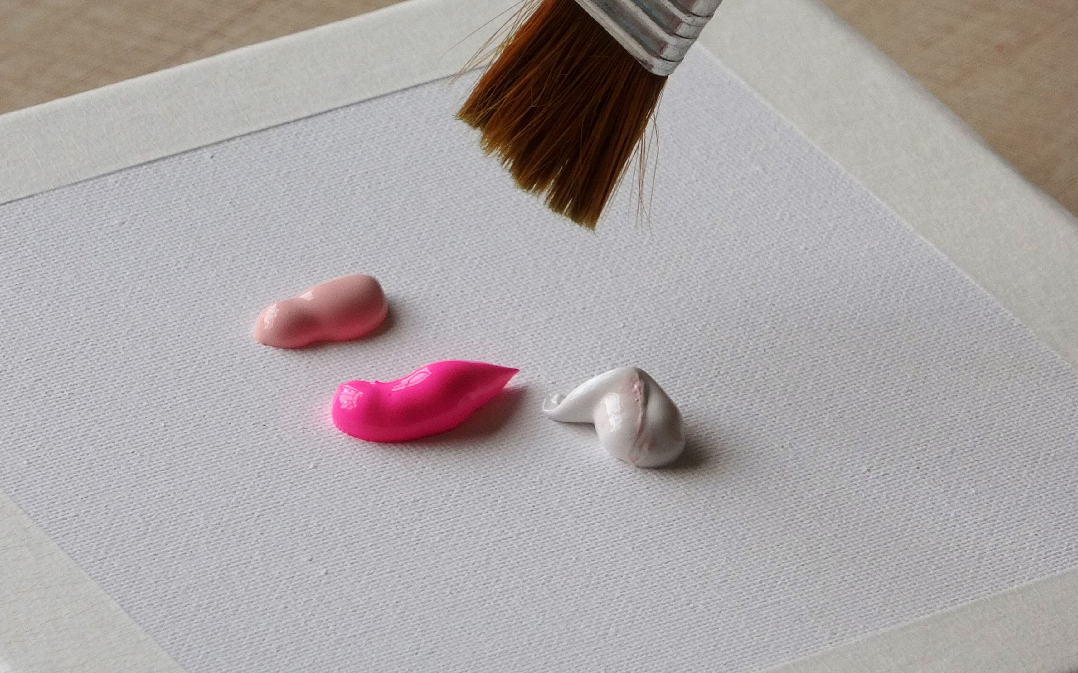 挤3小"坨"颜料在画布上,画1只小雀雀