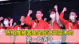 台媒：陈柏惟被罢免是民进党当局腐木的第一片落叶