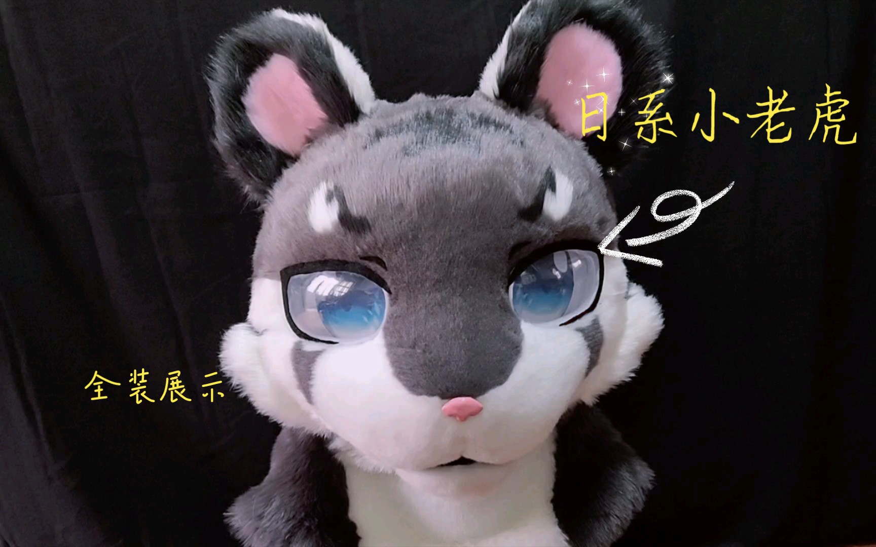 fursuit兽装展示虎年第二只老虎生啦日系小老虎的全装展示