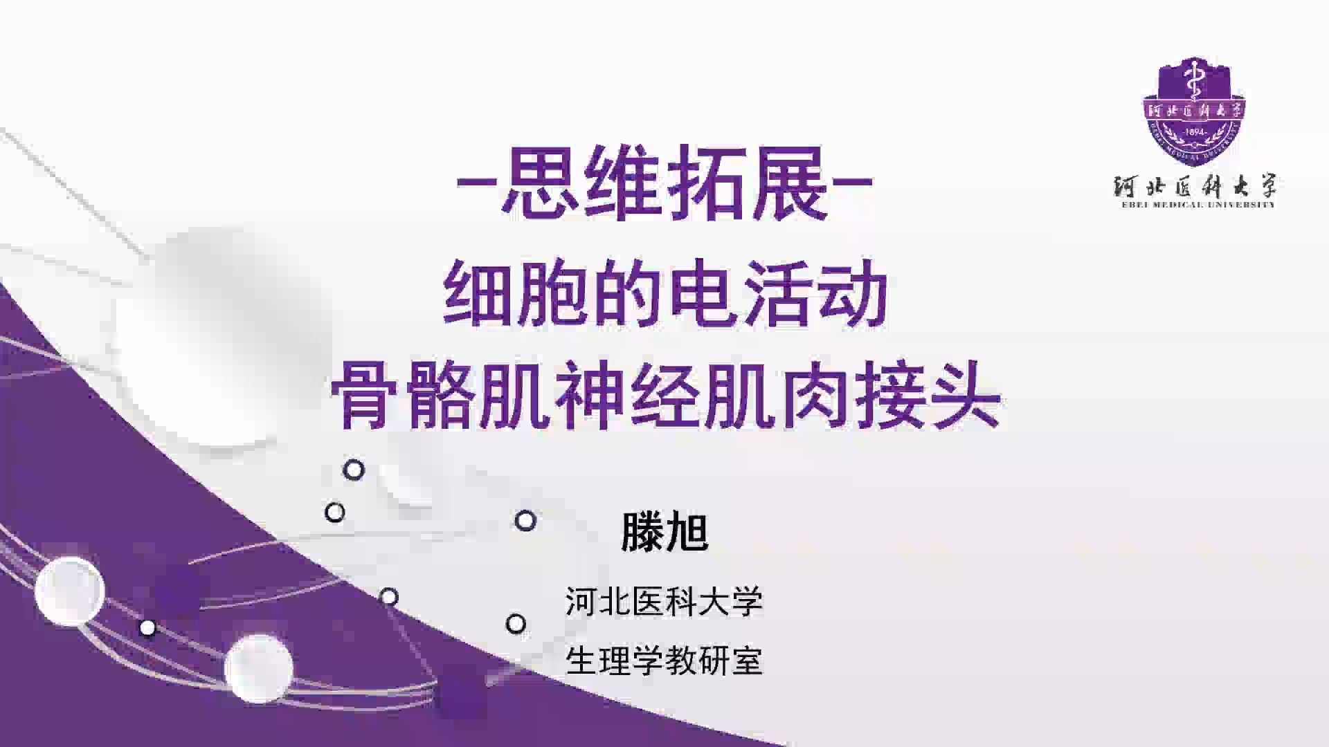 滕旭的生理课 医学本科课程生理学 神经肌接头兴奋传递与肌松药哔哩哔哩bilibili