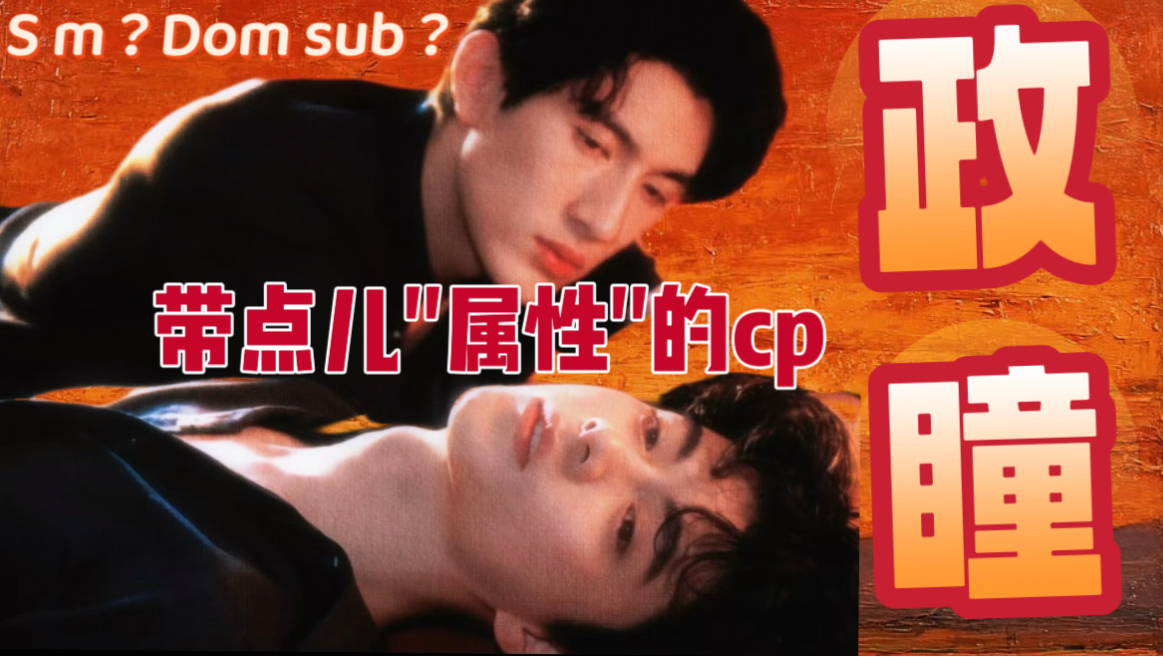 【政瞳】政瞳是一款多少带点儿“属性”的cp …