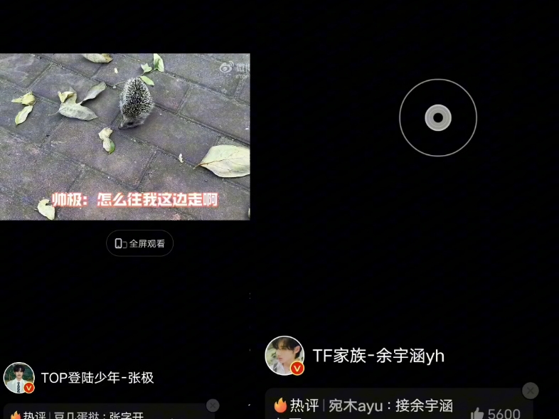 【极涵】刺猬这么小众的词汇哔哩哔哩bilibili