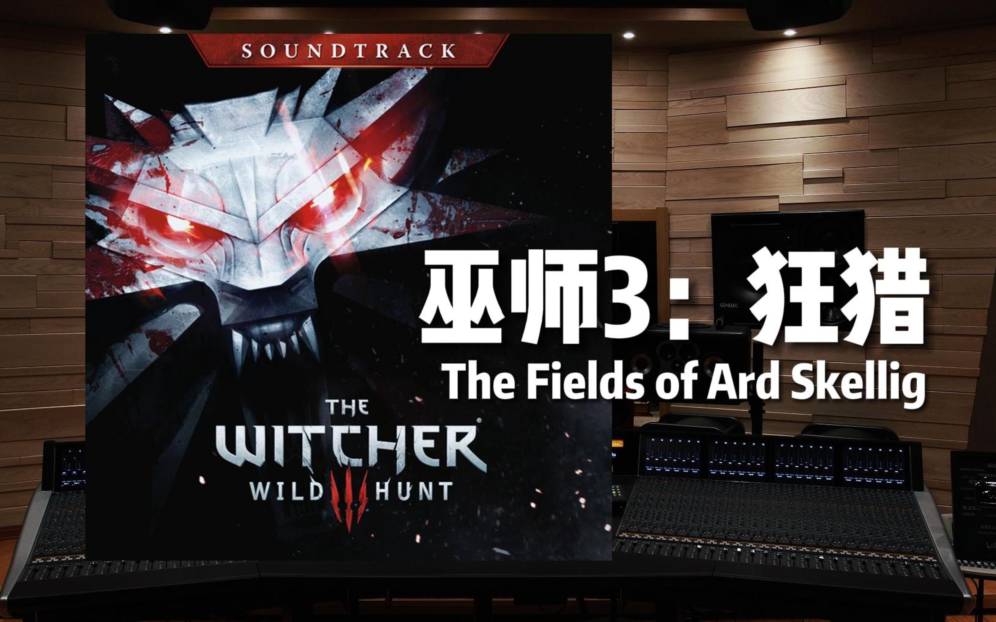 [图]《巫师3：狂猎》The Fields of Ard Skellig【Hi-Res百万级录音棚试听】