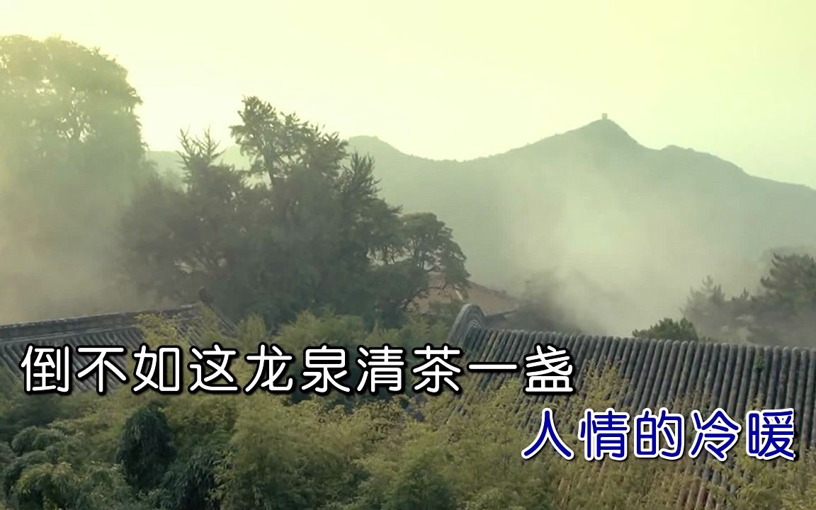 [图]王琪-你的万水我的千山.720p.x265.aac