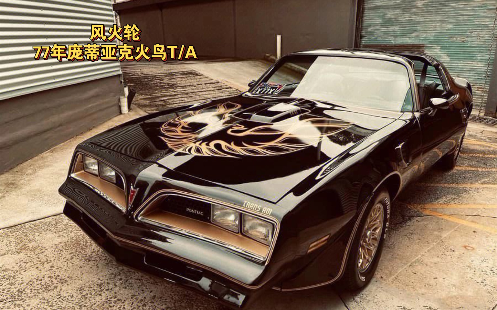 合金小车-风火轮77年庞蒂亚克火鸟trans am