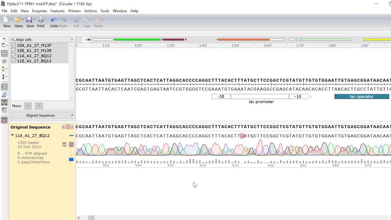 【搬运】Aligning to a Reference DNA Sequence哔哩哔哩bilibili