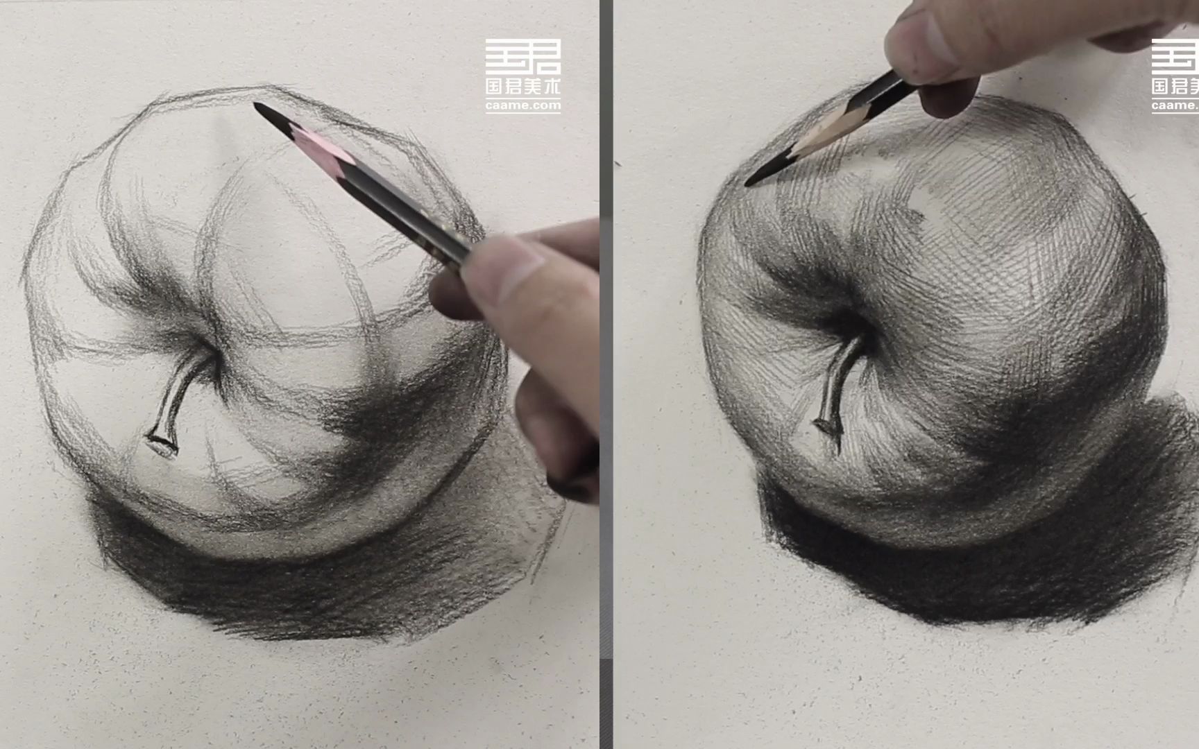 「国君美术」素描静物 苹果明暗结构对比