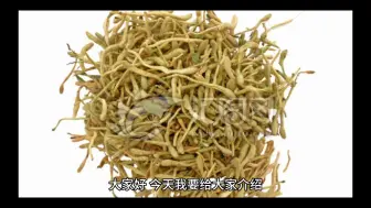 Download Video: 金银花的功效作用