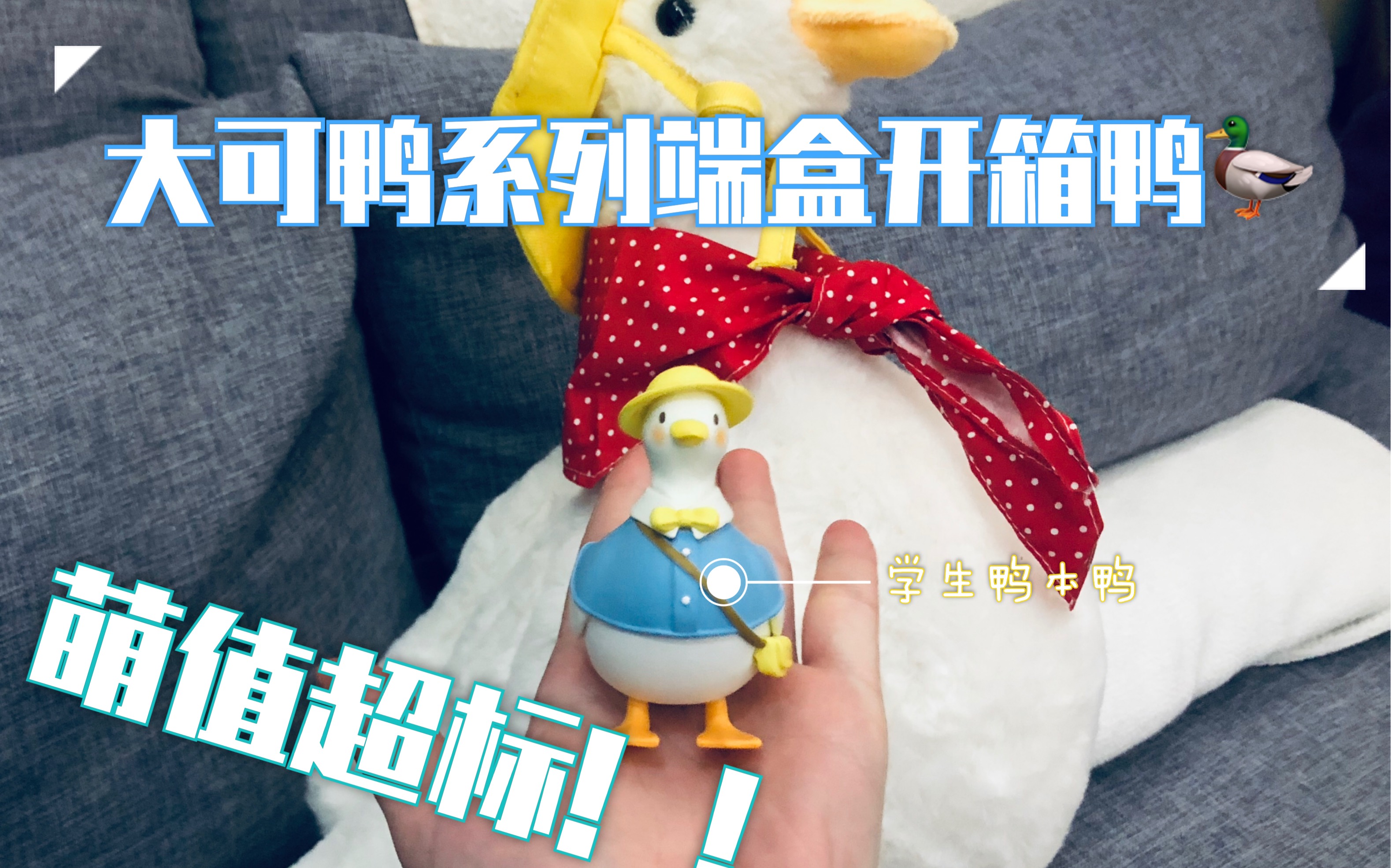 盲盒| 大可鸭系列端盒开箱!