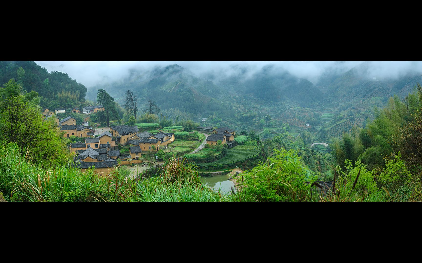 古朴的酉田村,迷雾中的参天古松,摘茶的人们 | 宾得 pentax k1 影像