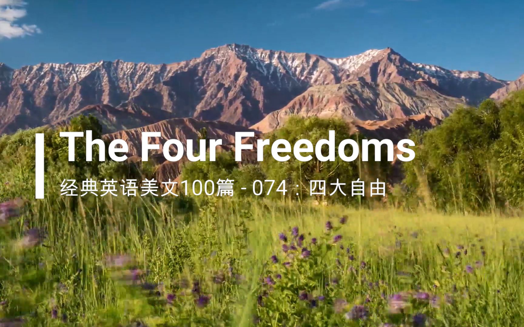 经典英文美文100篇之074:The Four Freedoms(四大自由)哔哩哔哩bilibili