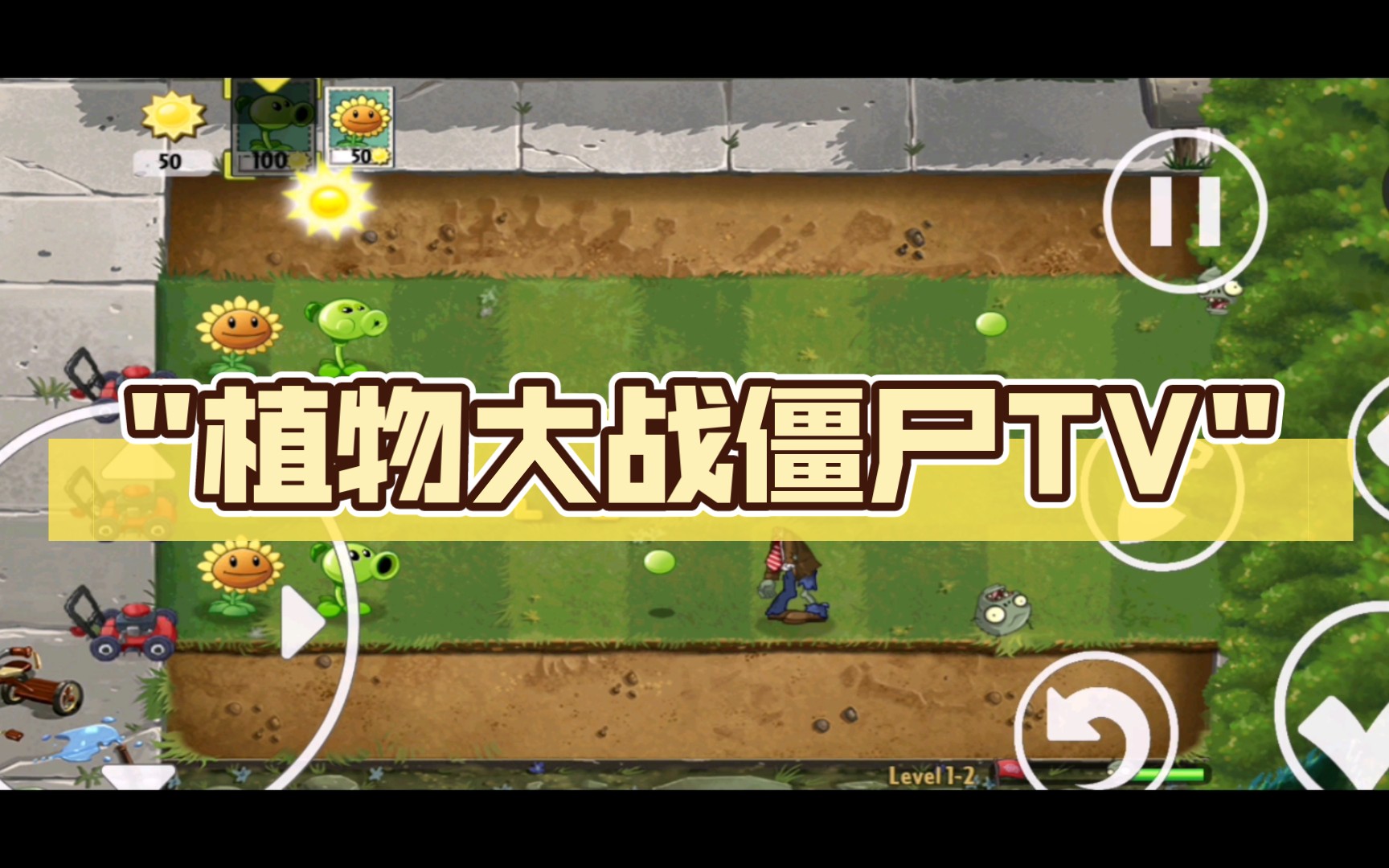 植物大战僵尸tvpak第二集