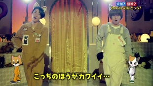 Hey Say Jump 天才志村动物园犬派vs猫派cut 标清生肉 哔哩哔哩 つロ干杯 Bilibili