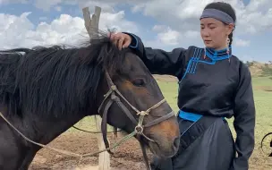 Descargar video: 马背上的民族咋骑马？草原女汉子细节曝光,本地马比拼带血马谁会赢