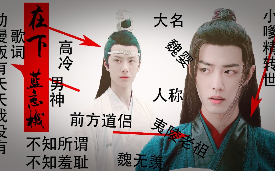 【陈情令|沙雕向|忘羡】蓝忘机&魏无羡 用在下名叫蓝忘机打开姑苏蓝二公子和他的道侣 赠小阿浓&是雨江呀哔哩哔哩bilibili