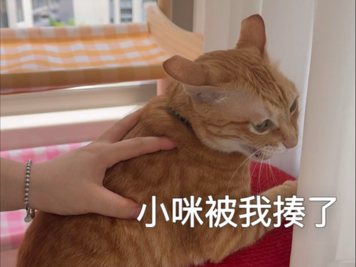 大咪：姨姨们来评评理～