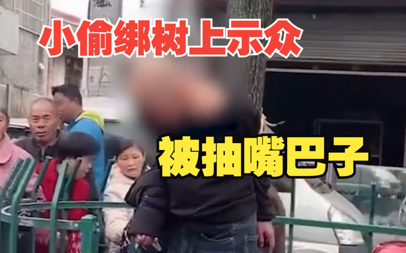 浙江温岭派出所回应"小偷被绑树上示众打耳光":正在调查,村民行为过激