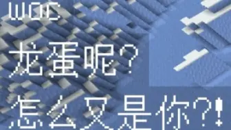当你悄悄偷走服务器的龙蛋并震惊所有人（22）