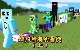 Download Video: 我的世界1