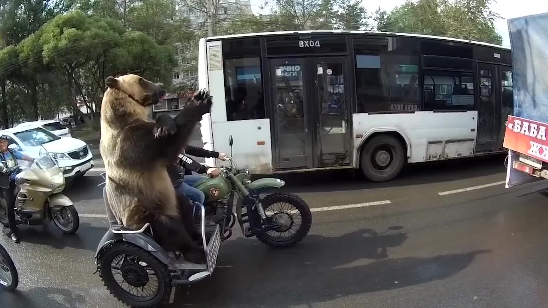 战斗民族的熊骑摩托,车胎都快压爆了,堵车还会吹喇叭催司机