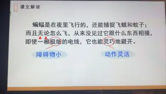 课文6 夜间飞行的秘密 小学语文四年级上册 部编版统编版人教版 蝌蚪老师课课听app 哔哩哔哩 Bilibili