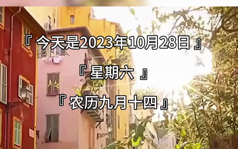 今天是2023年10月28日星期六农历九月十四早上好哔哩哔哩bilibili