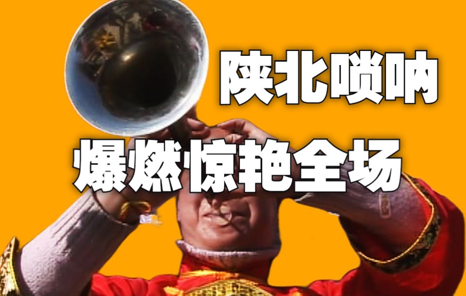 [图]【唢呐来了】唢呐神曲最强乐器响起，爆燃惊艳全场！！！#榆林#延安#陕西#西安#陕北#北京#上海#唢呐教学#唢呐神曲#唢呐声起那一刻 鸡皮疙瘩掉一地#