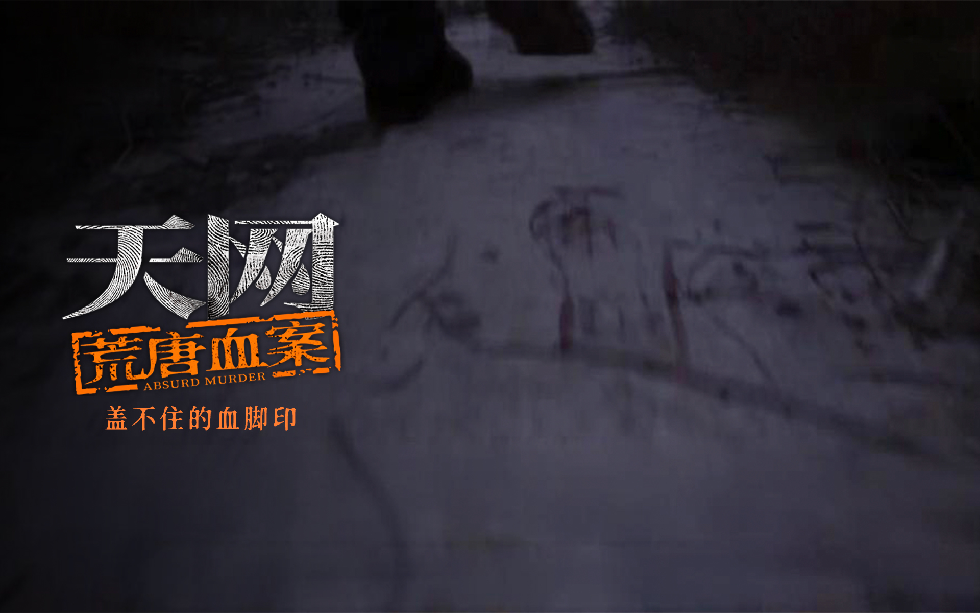 【纪录片】天网：荒唐血案 10 盖不住的血脚印