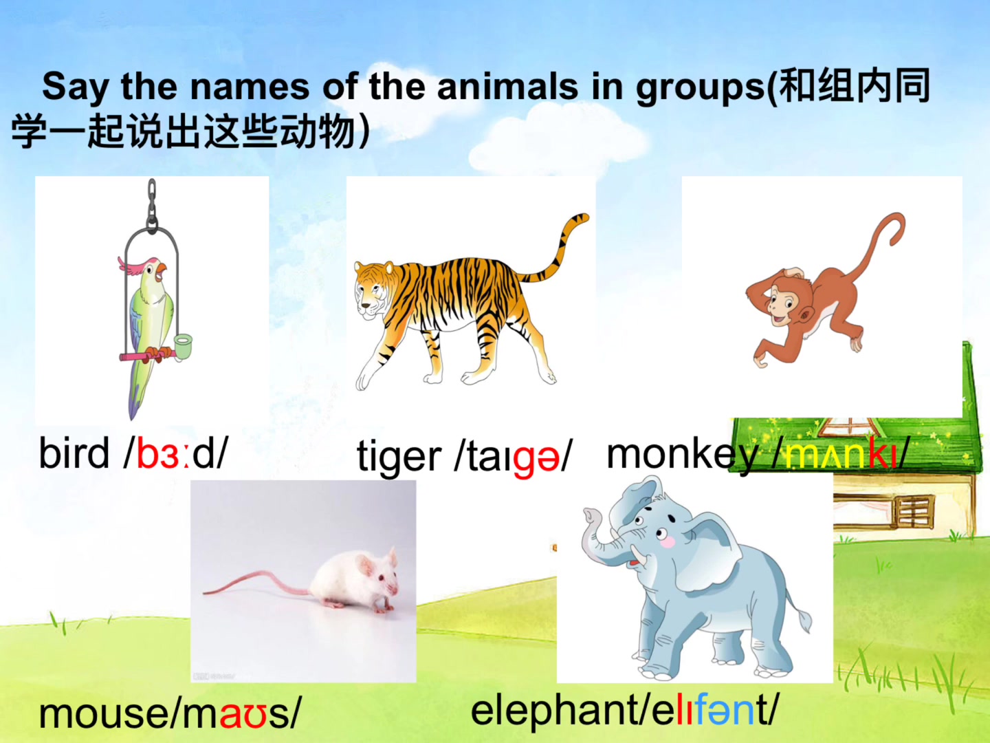 [图]【四年级上册】Unit 3 Look at the elephant.（寒假班）