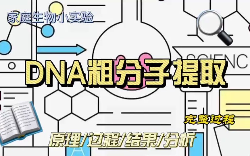 暑期家庭版生物小实验DNA粗提取(顾雨涵)哔哩哔哩bilibili