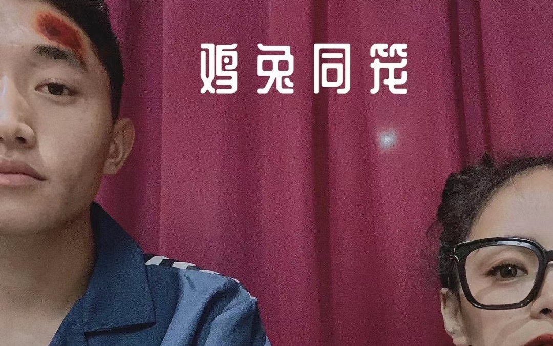 戏剧新生活里鸡兔同笼