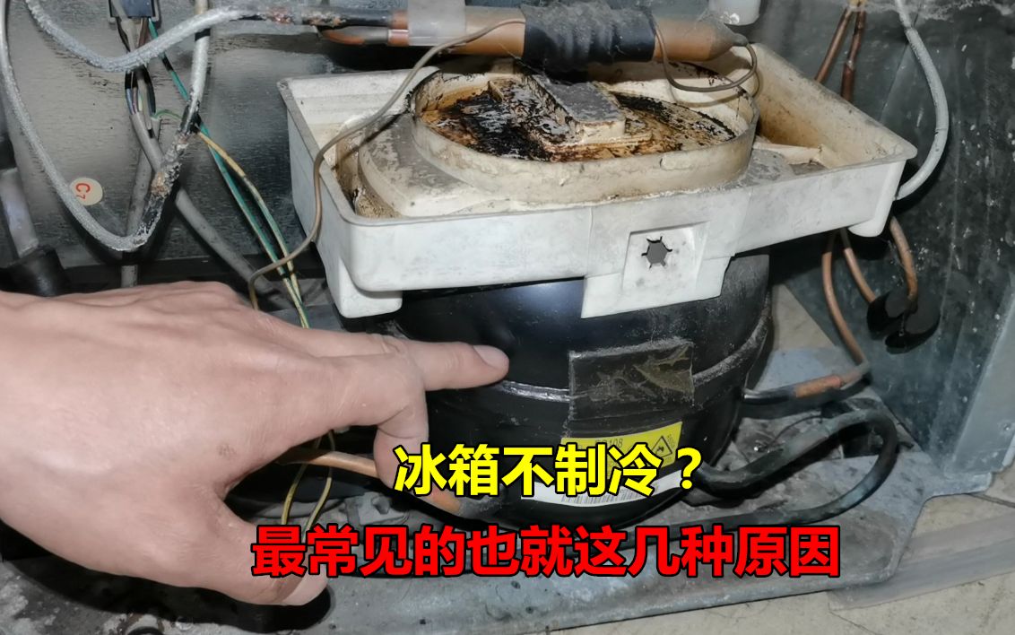 冰箱不制冷是什么原因?很简单,最常见的也就这几种问题哔哩哔哩bilibili