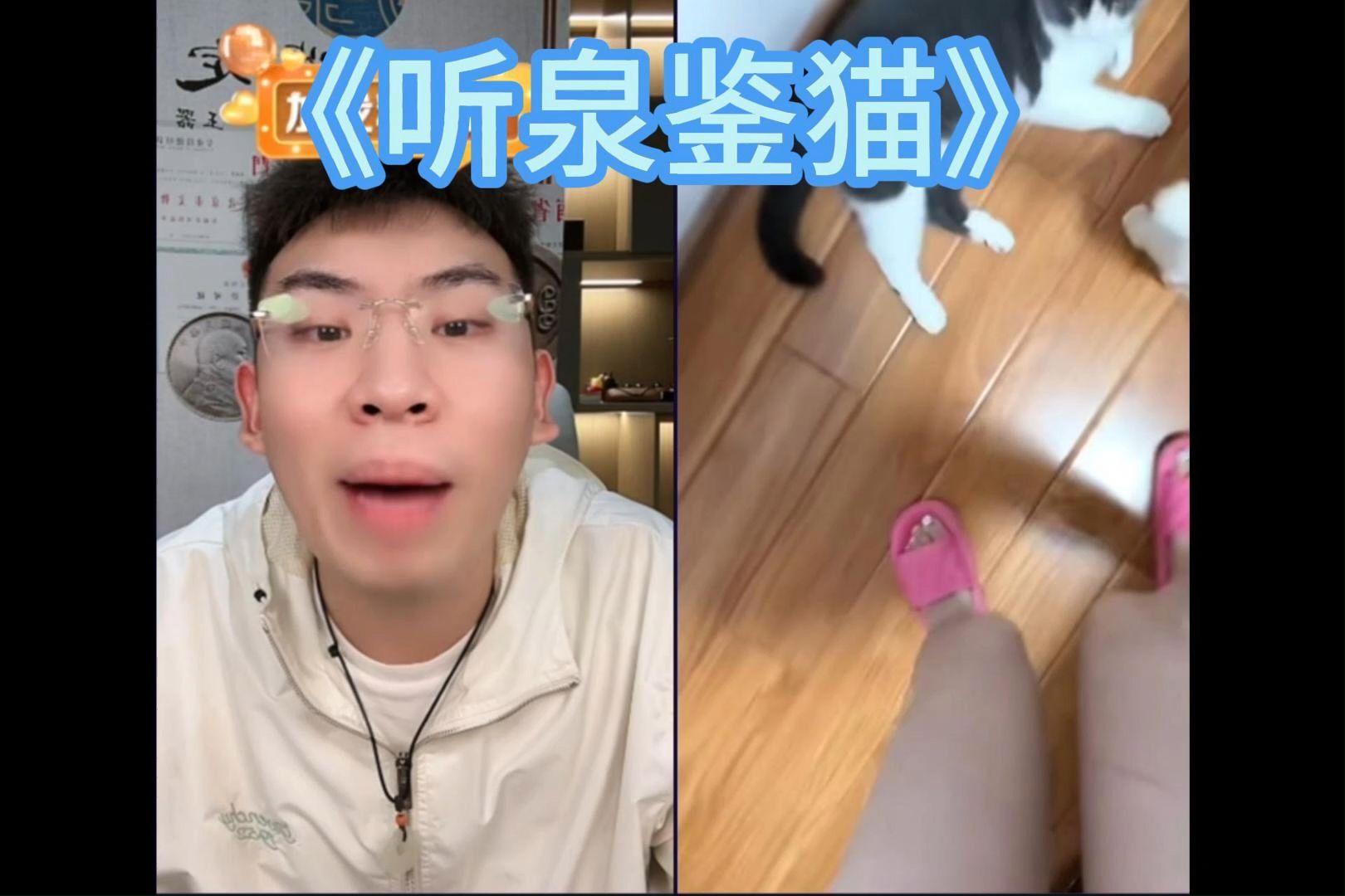 《最喜欢猫的一集》