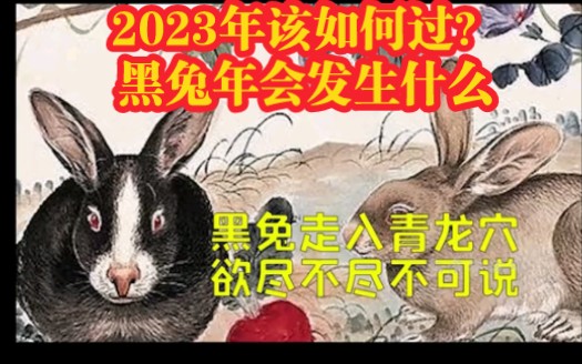 60年一遇的“黑兔年”,会发生什么?2023年究竟有多“不一般”?哔哩哔哩bilibili