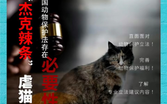 呼吁反虐待动物保护法立法