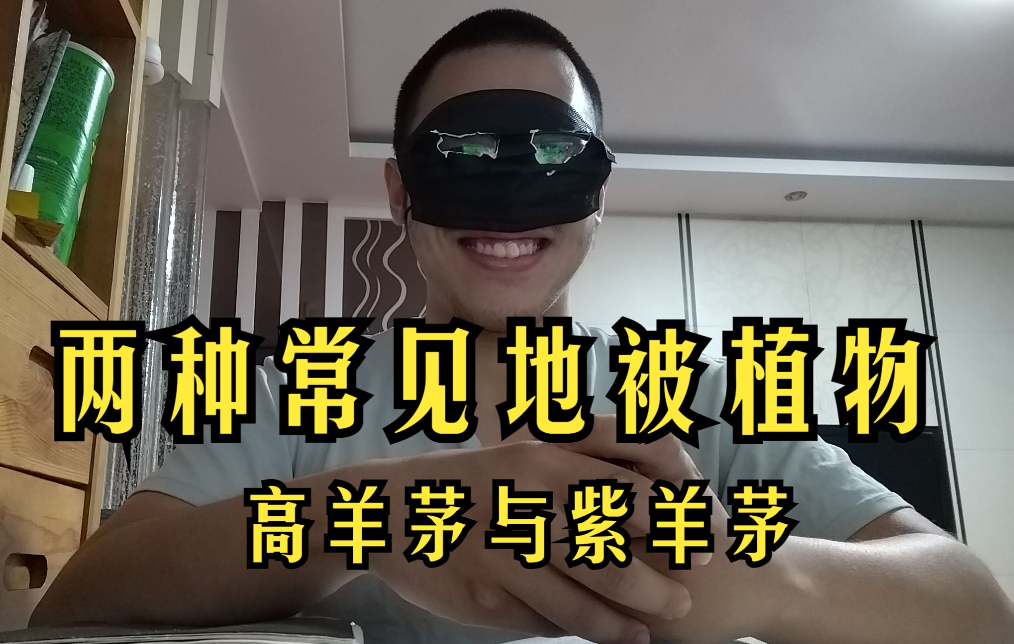 蝙蝠侠的植物课堂哔哩哔哩bilibili