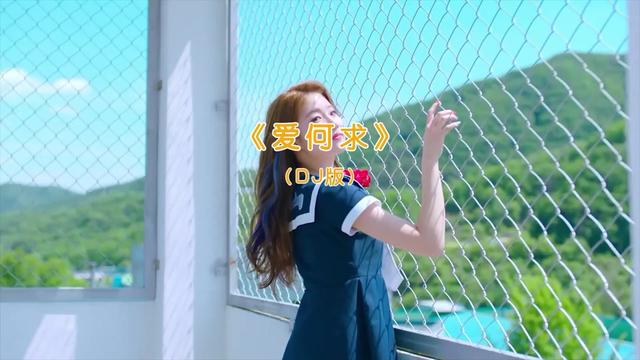 歡快律動的無損車載dj歌曲《愛何求》女團熱舞版