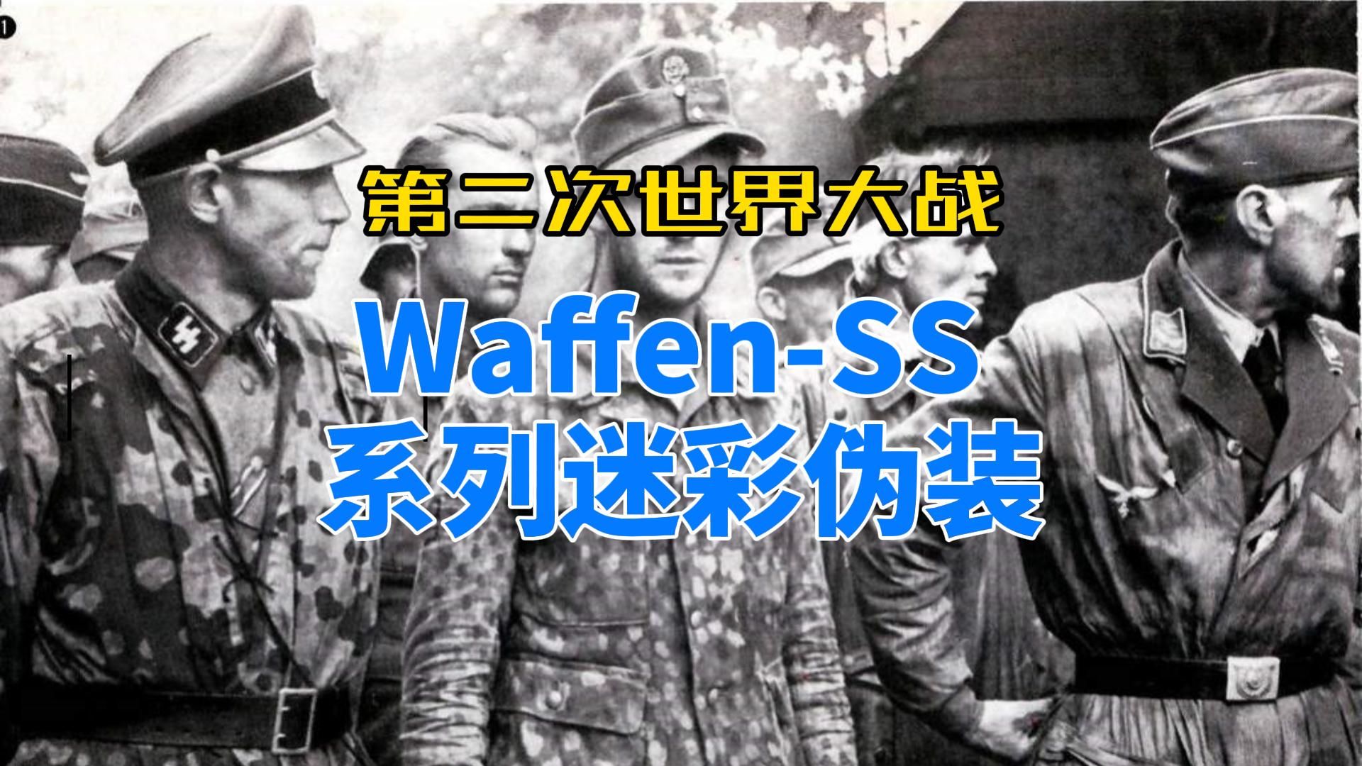 二战期间党卫军WaffenSS系列迷彩伪装图案解析哔哩哔哩bilibili