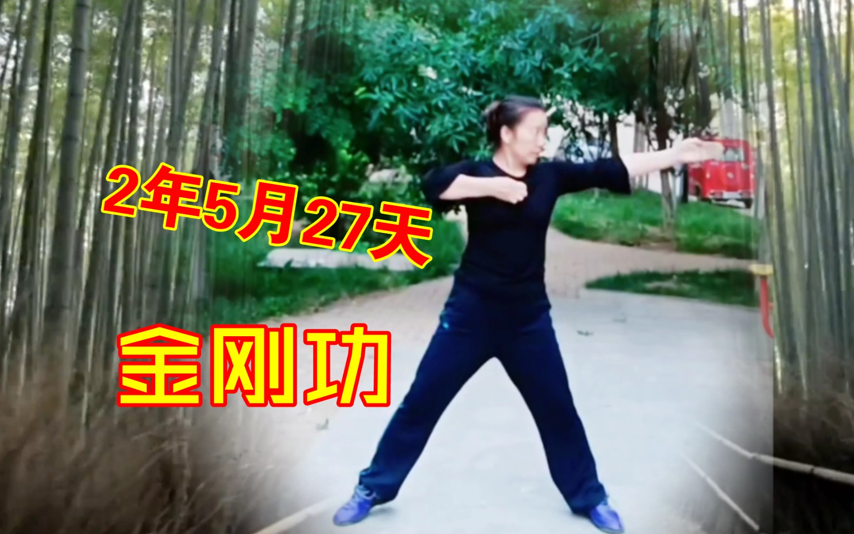 左肝右肺如射雕,2年5月27天打卡八部金刚功