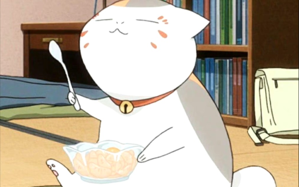 是可爱搞笑傲娇的猫咪老师来啦