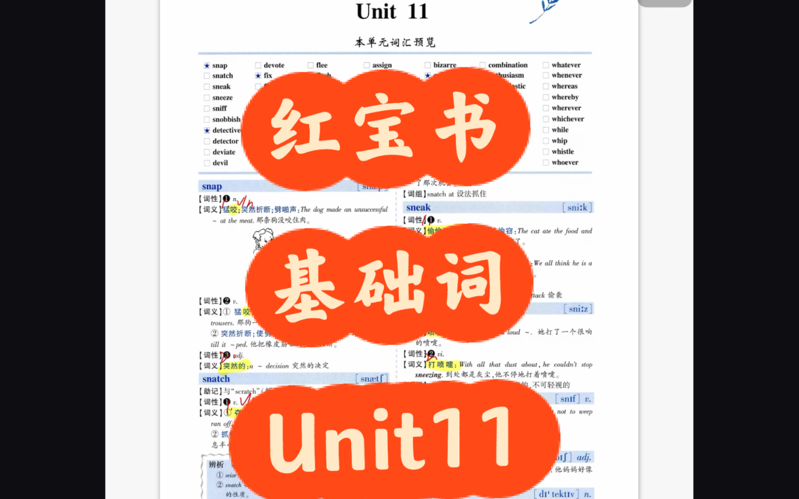 红宝书 基础词 第十一单元 带背