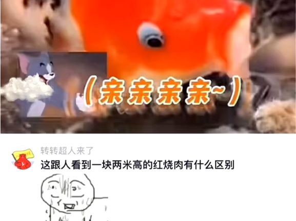 上辈子:下辈子我再吸猫,我就变成鱼哔哩哔哩bilibili