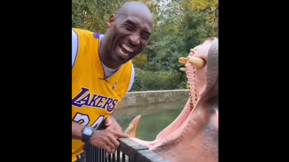 【Sora2】科比在动物园 Vlog