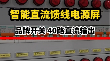智能直流馈线电源屏,品牌开关,40路直流输出#直流馈线屏 #直流屏 #直流屏电源哔哩哔哩bilibili