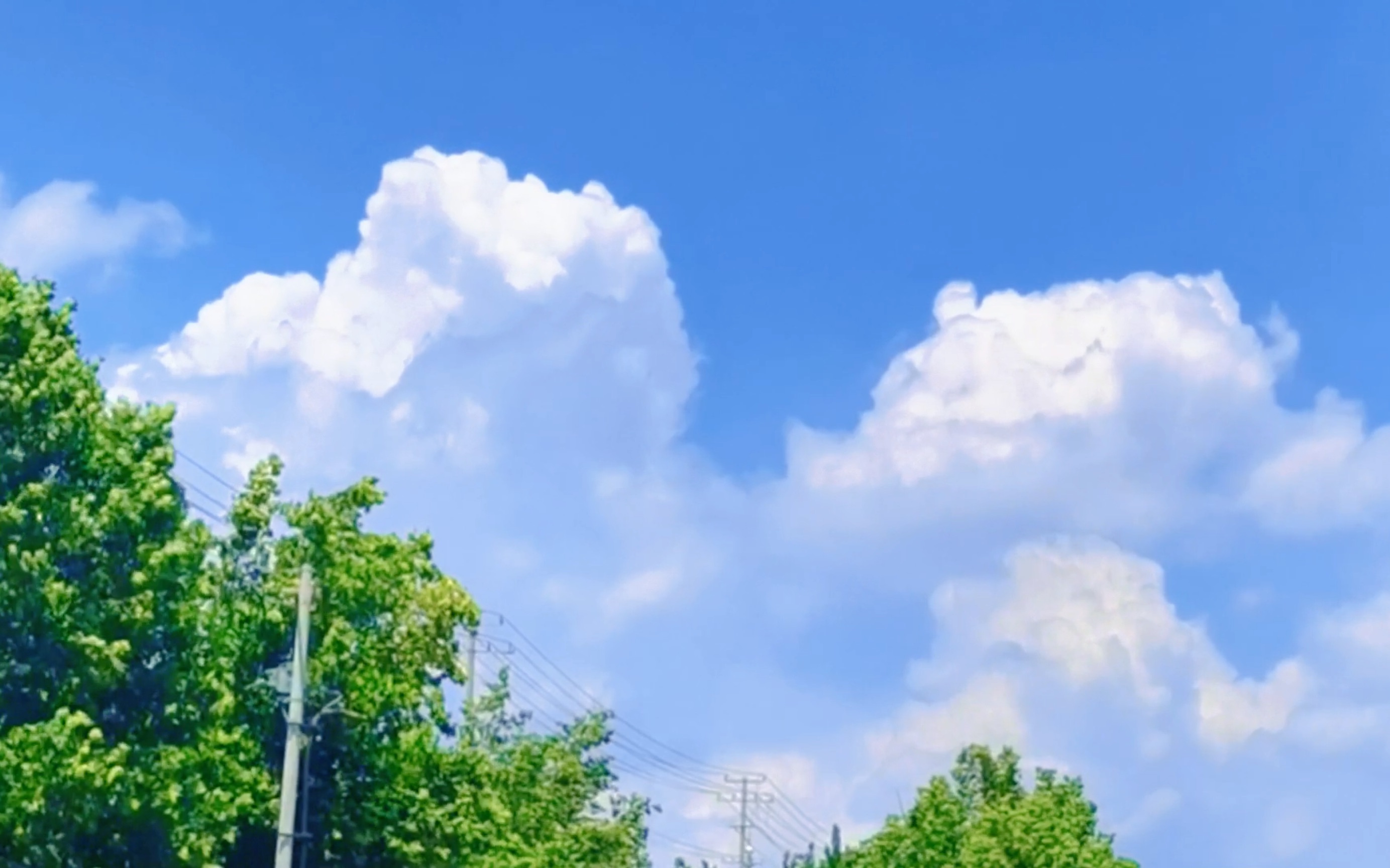 每一秒的云朵 .都是太阳留给天空的温柔