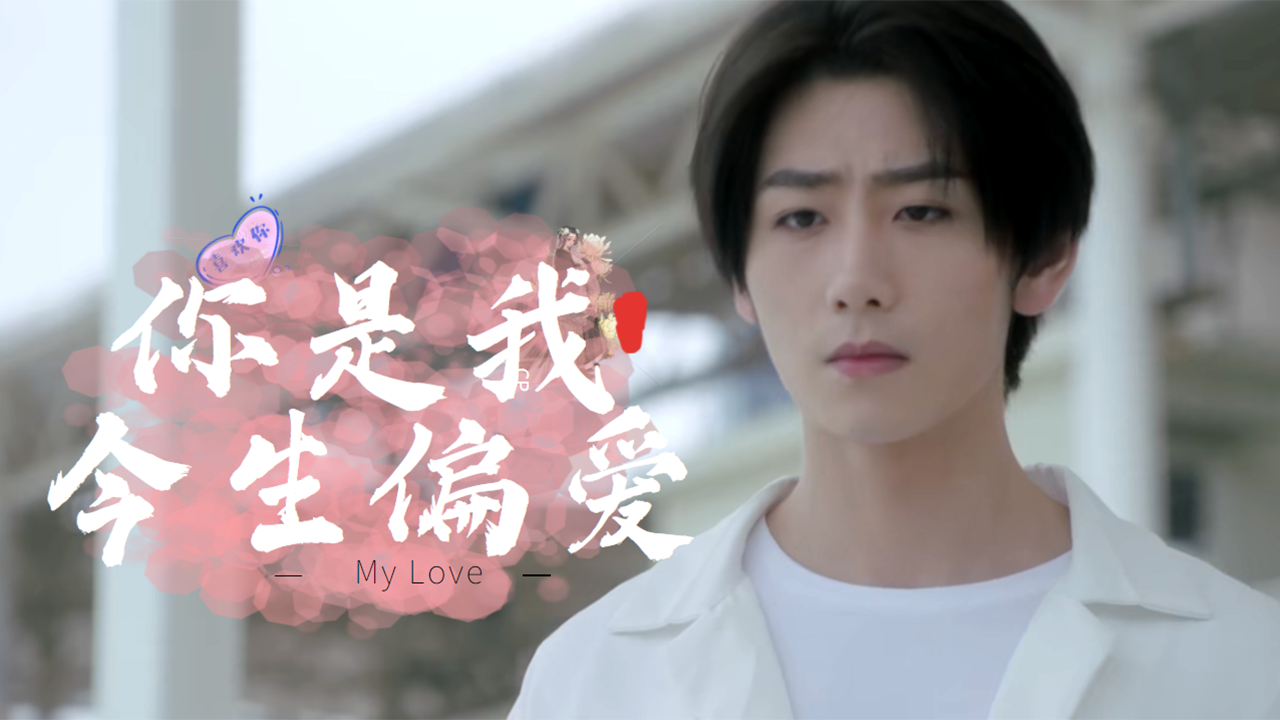 你是我的偏爱和例外是我用一生去呵护的人