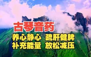 古琴音药 养心静心 疏肝健脾 舒心畅气 缓解疲劳 补充能量 放松减压 养生音乐