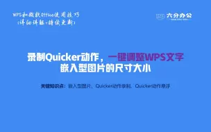 Download Video: 录制Quicker动作，一键调整WPS文字嵌入型图片的尺寸大小