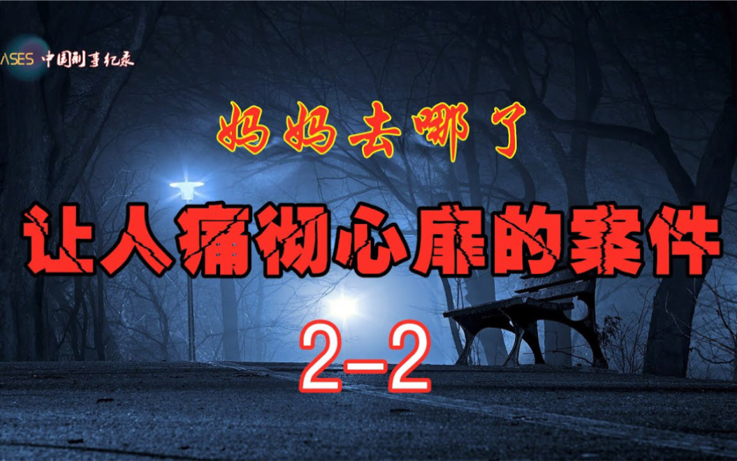 妈妈去哪了?惨绝人寰 痛彻心扉 2005年北京李子健案哔哩哔哩bilibili