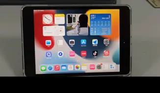 Download Video: 2024年，一年之后我又选择了iPad mini5